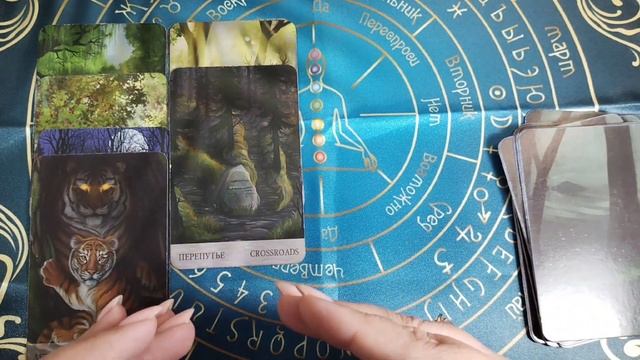 Рак ♋-Интуитивный Таро Прогноз на Август 2023 года.По всем сферам жизни от Мэри Рау. смотреть онлайн