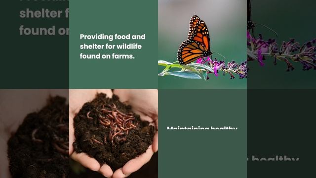 Honest Food 2021 - Biodiversity смотреть онлайн