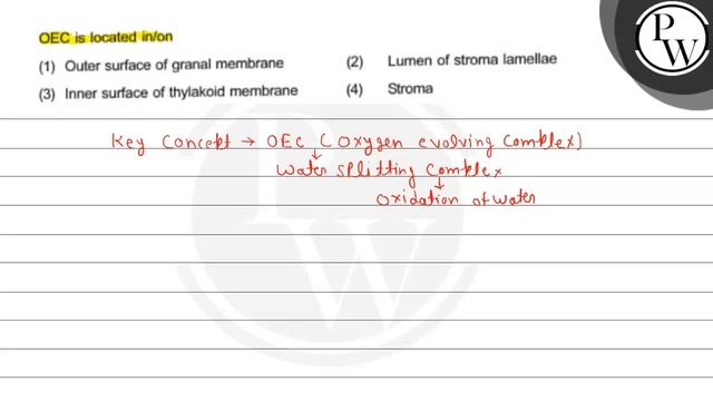 OEC is located in/on
(1) Outer surface of granal membrane
(2) Lumen... смотреть онлайн