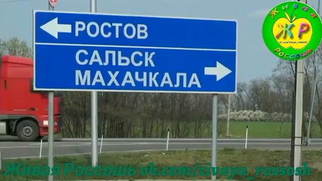 Краснодарский край. Без комментариев. смотреть онлайн
