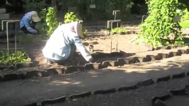 Hokkaido University Botanic Gardens, Sapporo, Japan смотреть онлайн