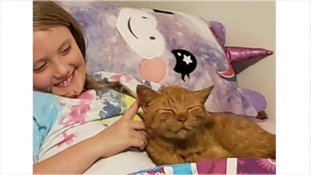 Девочка в тайне от матери привела в дом кота смотреть онлайн