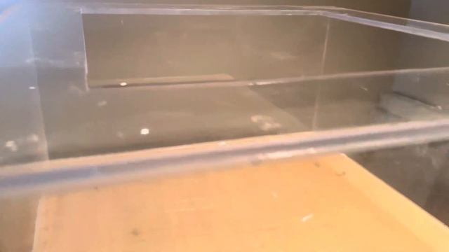 Potomac River Biotope Tank Aquascaping Update - Plus: New Project Reveal (Oyster Reef Tank) смотреть онлайн