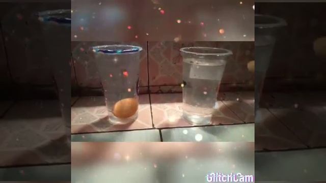 Pratikum Hukum Archimedes смотреть онлайн