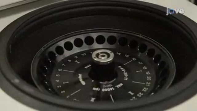 qPCRTag Analysis смотреть онлайн