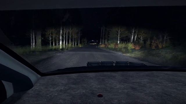 Dirt Rally Finland (Masters cup) ночное ралли на изношенной подвеске смотреть онлайн