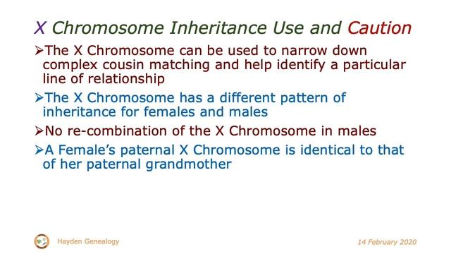 The Power of X to unlock Family Mysteries (Martin Hayden) смотреть онлайн