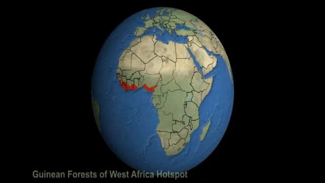 Part 3: Setting Global Priorities for Biodiversity Conservation смотреть онлайн