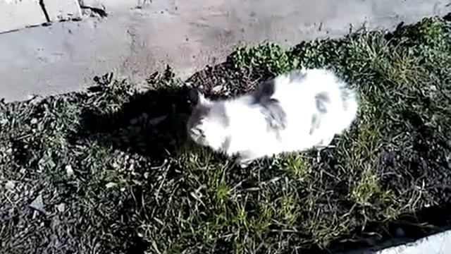 Кумертау здесь. смотреть онлайн
