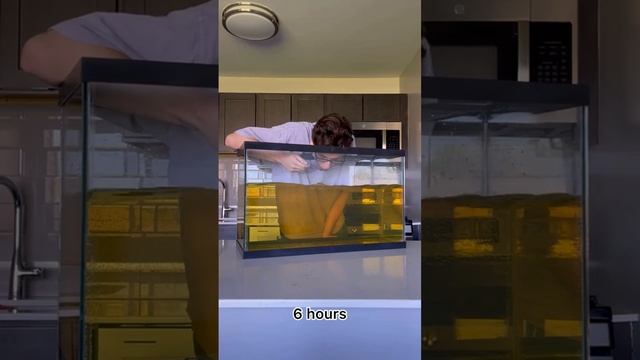 Корпорация Юмора - Клип Корпорация Юмора смотреть онлайн