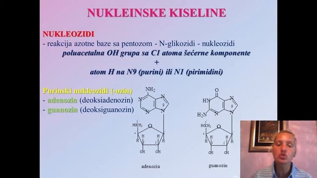 DNK - struktura i osobine смотреть онлайн
