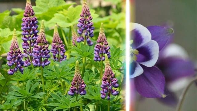 Уютный Уголок