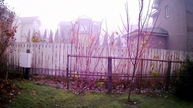 Сад в ноябре. Загадочный туман. смотреть онлайн