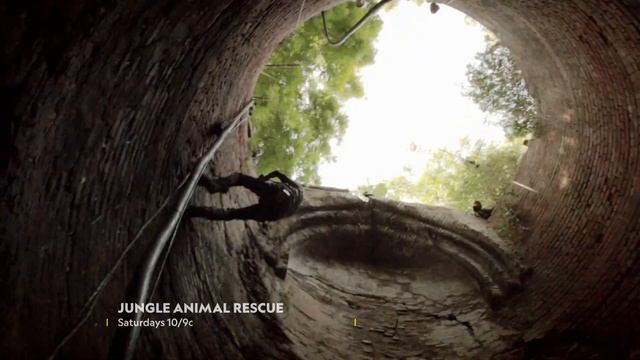 Jungle Animal Rescue - USA Premiere April 18, 2020 смотреть онлайн