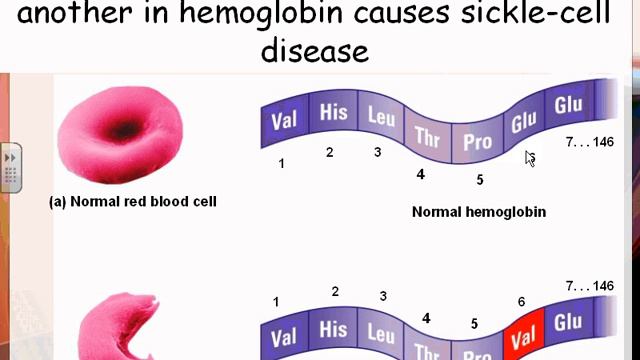 2012 HN Organic Chemistry 13 more protein stuff смотреть онлайн