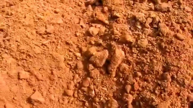 2 reptilii cent 2014 xvid смотреть онлайн