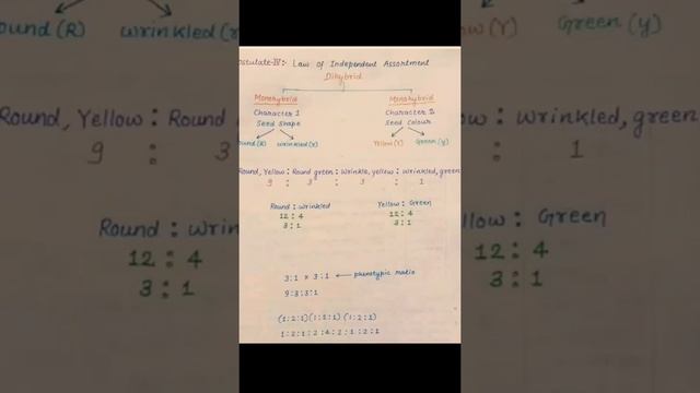 monohybrid and dihybrid cross смотреть онлайн