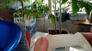 как увеличить ёмкость стакана для рассады