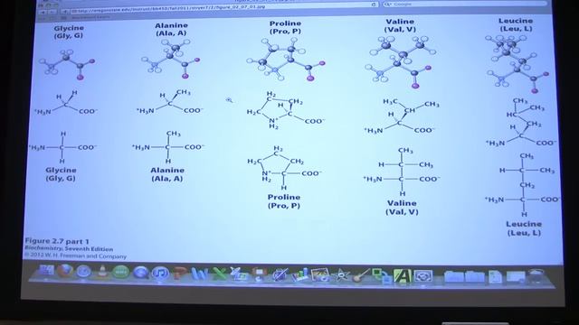 #03 Biochemistry Amino Acids Lecture For Kevin Ahern's BB 450/550