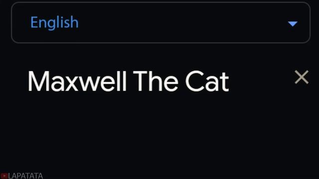 Maxwell The Cat in different languages meme | Part 2 смотреть онлайн