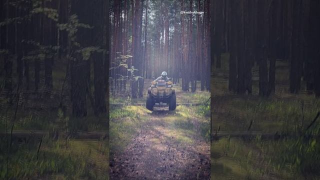 Попрыгушки через деревяшки. BRP прыгает через бревно #atv #brp #квадроциклы смотреть онлайн