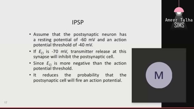 Nerve Physiology: Synapse /Dr. Nabiha смотреть онлайн