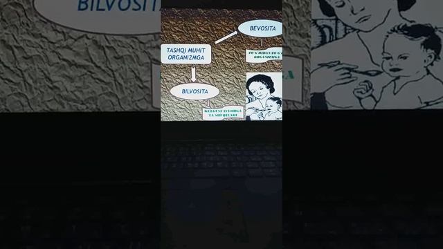 Evalutsiyani harkatlantiruvchi kuchlari смотреть онлайн