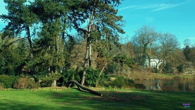 Ontdek Plantentuin Meise | Meise Botanic Garden-Belgium | (4k). смотреть онлайн