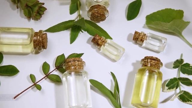 Healing Natural Oils H-Moles Formula Review | Get Rid of Moles Naturally смотреть онлайн