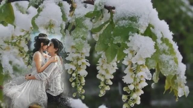 Ах,черёмуха,черёмуха...муз.исп. Kapusha,ст.И. Кудряева смотреть онлайн