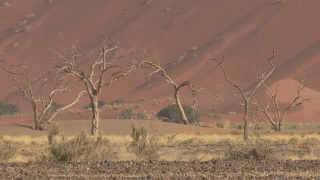 Beautiful Namibia.mov смотреть онлайн