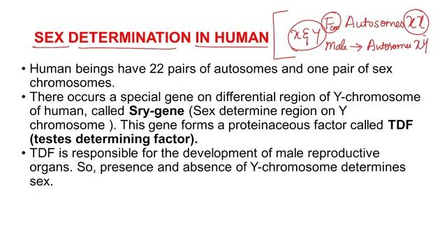 principles of inheritance and variations C4 смотреть онлайн