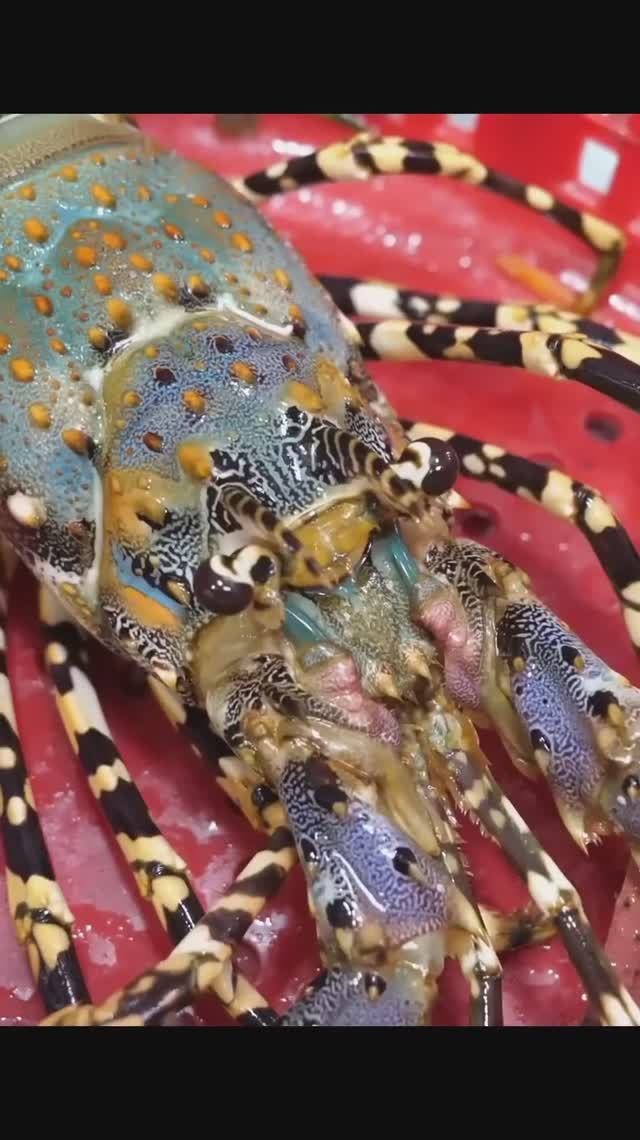 Канал Уличная Еда / Street Food Channel t.me/StreetFoodChannel смотреть онлайн