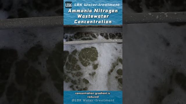 Ammonia nitrogen wastewater concentration#Vietnam#environmentalprotection#sewagetreatment#fyp смотреть онлайн