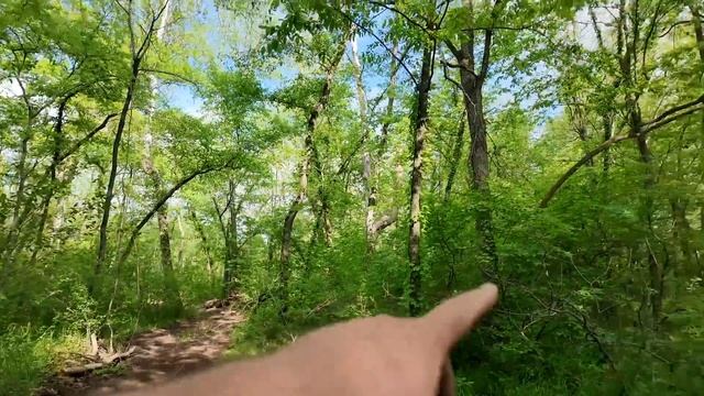 Government Trespassers Showed Back Up & TOLD ME THIS! смотреть онлайн