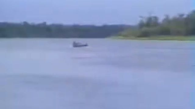 Дикие племена каннибалов в наше время смотреть онлайн