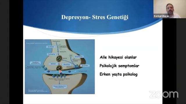 Modern Genetik Gen ve Çevre Etkileşimi смотреть онлайн