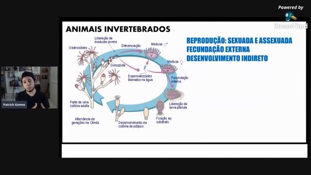 ANIMAIS INVERTEBRADOS - Biologia com Patrick Gomes смотреть онлайн