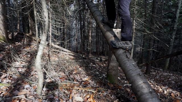 Building A Log Cabin | Ep. 5 | Nature provided a free log! смотреть онлайн