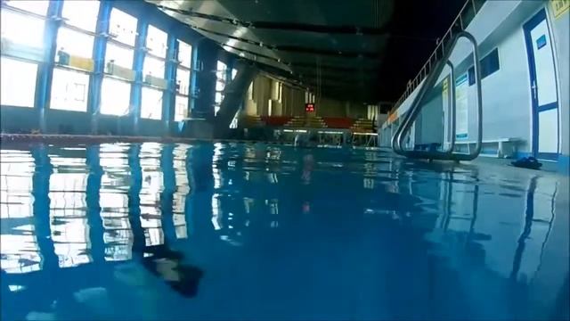 Белки в парке. ЗОЖ. Плавание в бассейне. смотреть онлайн