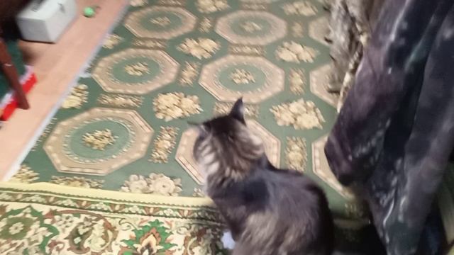 Игрушки.mp4 смотреть онлайн