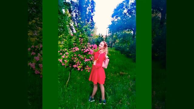 весеннее настроение( Ростовская область)#видео #nature #весна #цветы#rnd смотреть онлайн