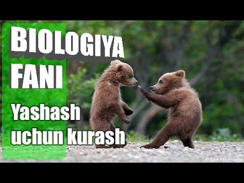 Biologiya 10 Sinf Mavzu Yashash Uchun Kurash