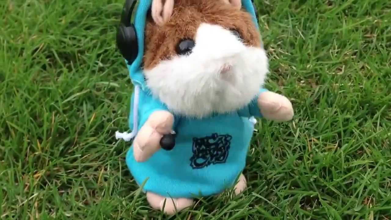 Говорящий Хомяк DJ в ВОЛГОГРАДЕ,ВСТРЕЧАЙТЕ))! смотреть онлайн