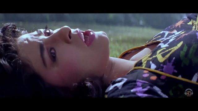 Aaja Na Tere bin Lage Nhi Dil Mera Deewana (4K Jhankar) Sadhna, Suresh Wadkar | Rishi Kapoor, Juhi смотреть онлайн