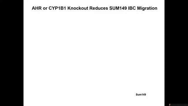 Tracking AHR Regulatory Circuit in Cancer with AHR Inhibitors, CRISPR/Cas9 Knockdown & Other Tricks смотреть онлайн