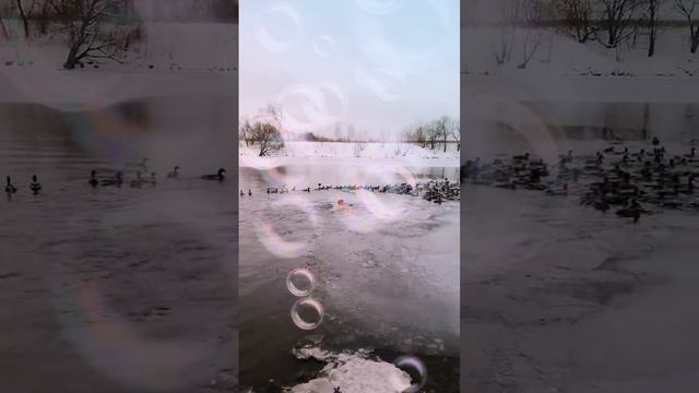 Нано стиль смотреть онлайн
