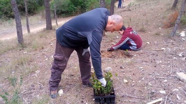 Voluntariat ambiental "Torrent verd" reforesta Vedat de Torrent, 25-01-2014 смотреть онлайн