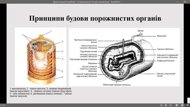 Загальна спланхнологія смотреть онлайн