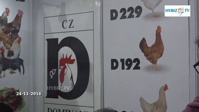 Dominant CZ | Poultry India 2016 - hybiz смотреть онлайн